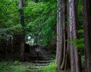 小根山森林公園・野鳥の森