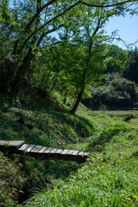 20240425-DSC_6563（大）