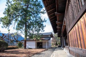 chayahonjin-15（大）