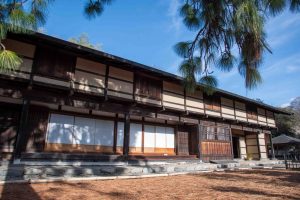 chayahonjin-20（大）