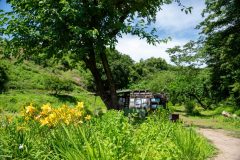 soutaisan-3（大）