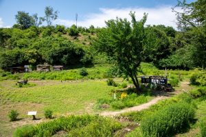 soutaisan-4（大）